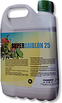 SUPERDAIBIBLON-25